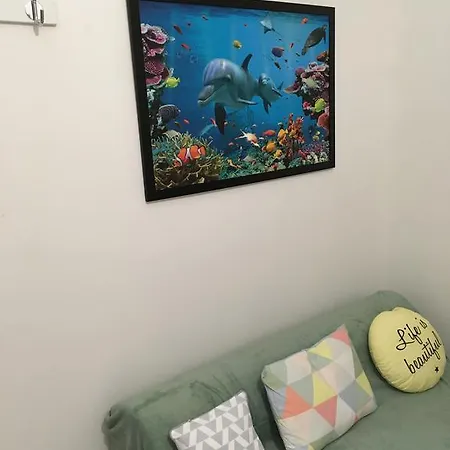Studio Bord De Mer Ideal Vacances Apartment *